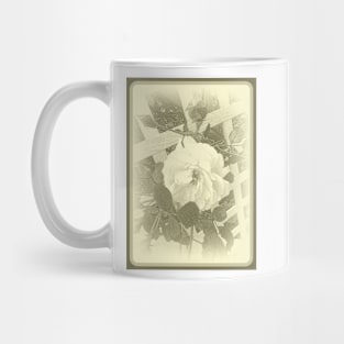 New Dawn Rose and Lattice Mug